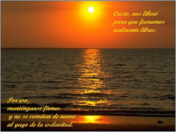 Paisaje_con_Cita_Biblica_09