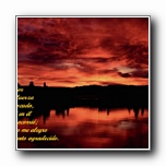 Clic para Agrandar