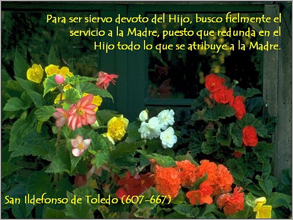 Flores_con_Cita_Mariana_02
