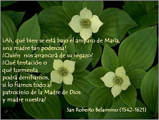 Flores_con_Cita_Mariana_04