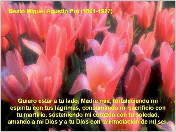Flores_con_Cita_Mariana_06