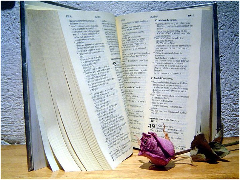 Santa_Biblia_12