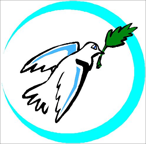 Paloma_10