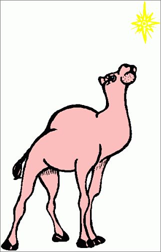 Estrella_de_Belen_14